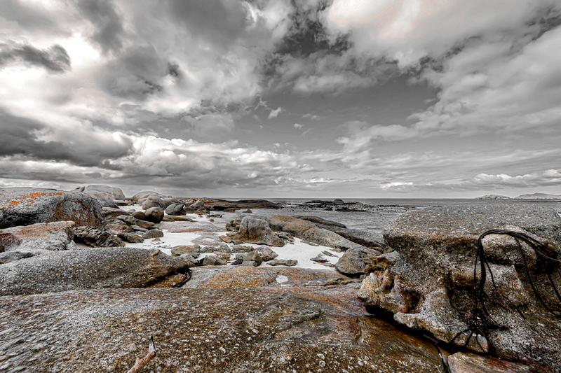 dk DSCF2980 20251002 fishlo